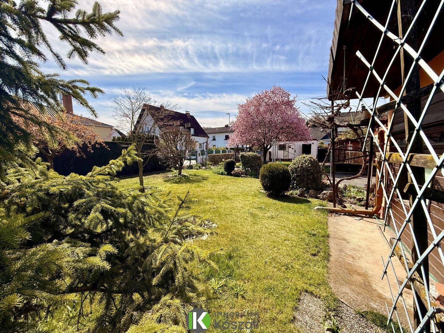 Gepflegter Garten mit Rasenfläche, Nadelbäumen und blühendem Baum im Frühling.