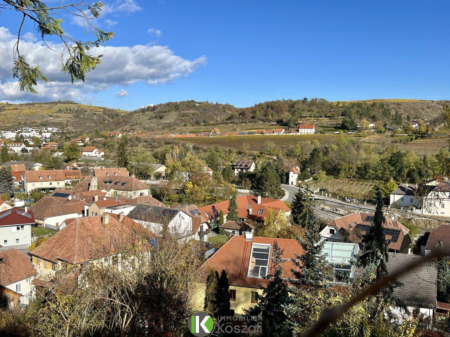 Weitläufiger Blick über ein Dorf mit roten Dächern und umliegenden Weinbergen in herbstlicher Landschaft.