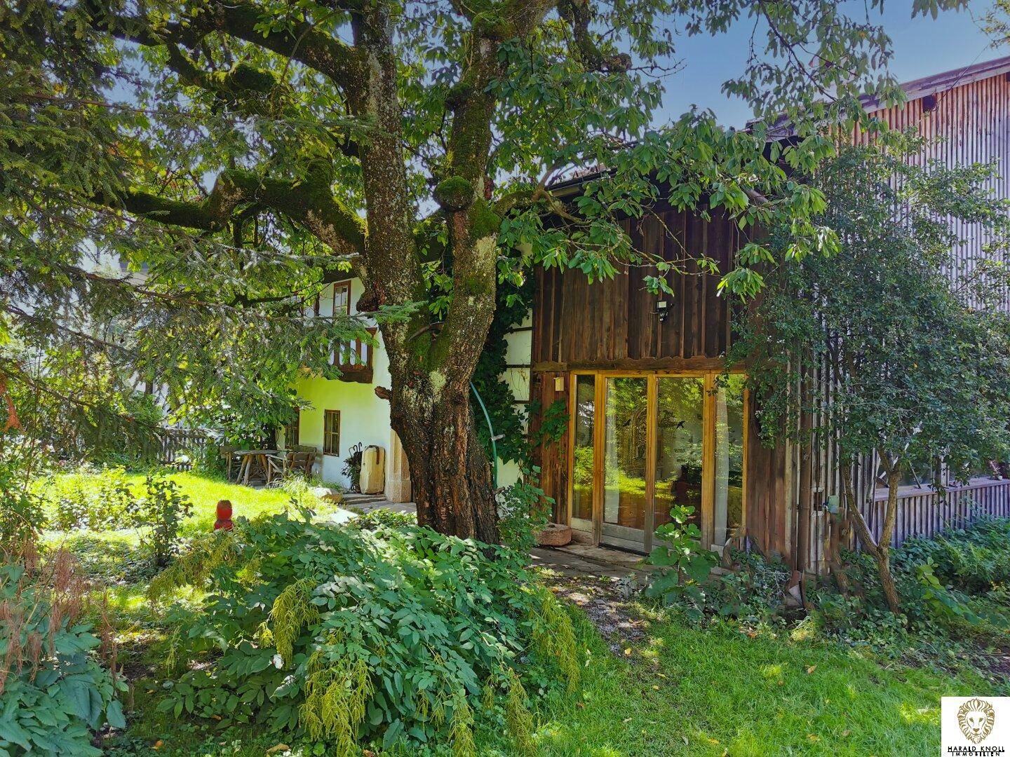 Grüner Gartenbereich mit altem Baum und Zugang zu einem traditionellen Holzhaus im Hintergrund.