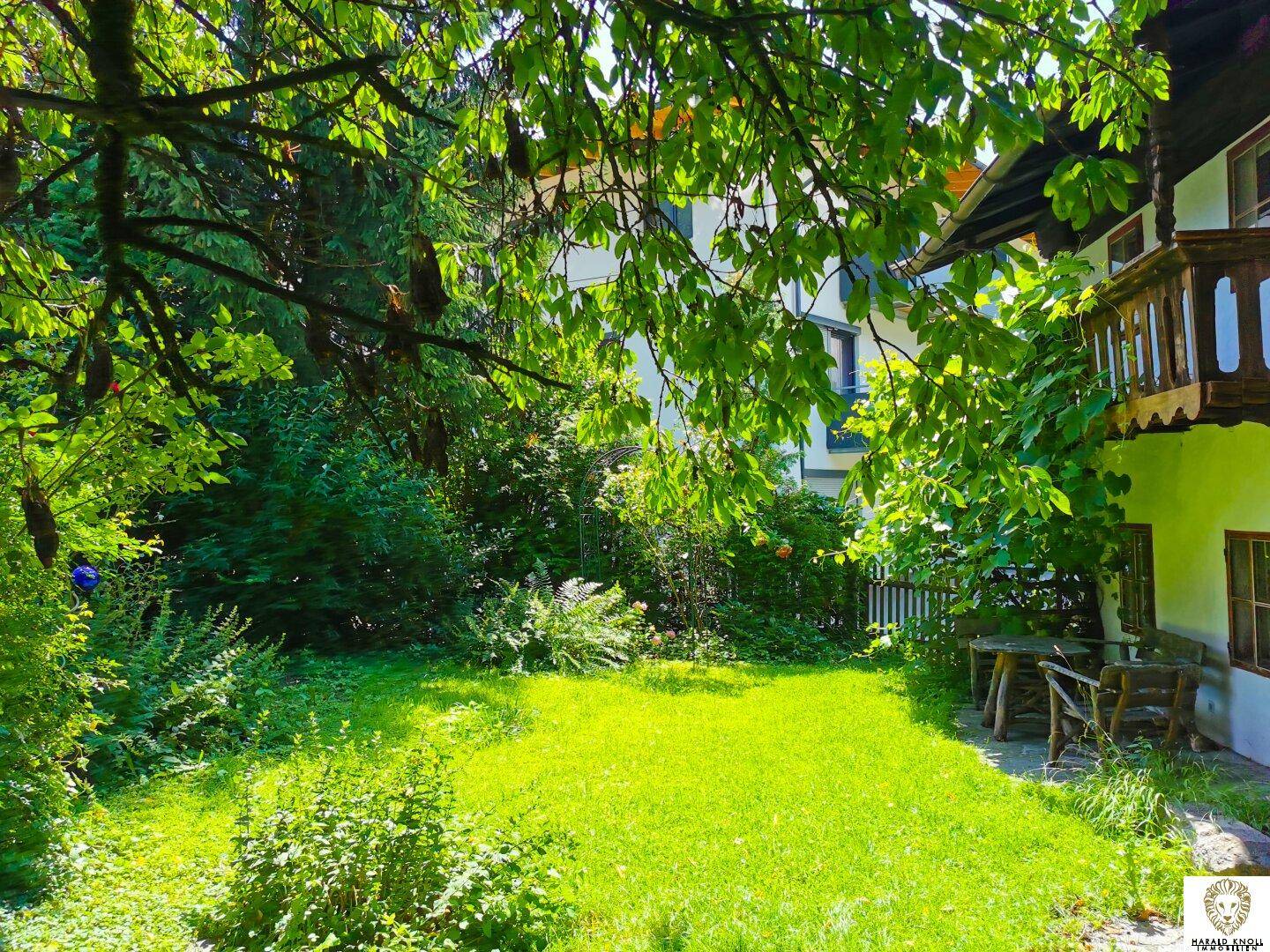 Gepflegter Rasenbereich im Garten, umgeben von Bäumen und Sträuchern, mit viel Sonnenlicht.
