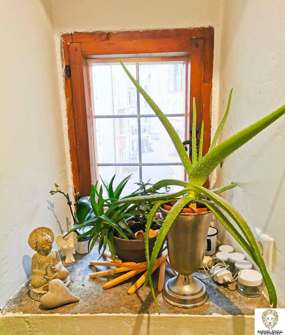 Kleines Fenster mit Holzrahmen, dekoriert mit Pflanzen und Figuren auf der Fensterbank.