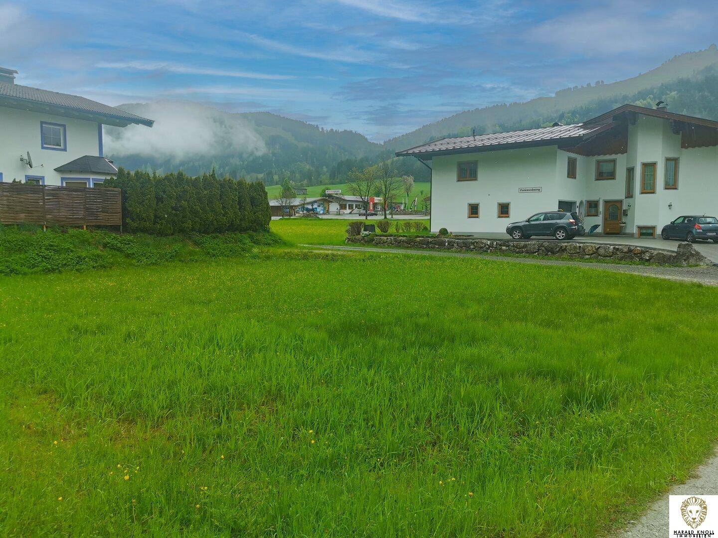 Grüne Wiese mit Häusern und bewaldeten Bergen im Hintergrund unter einem bewölkten Himmel.