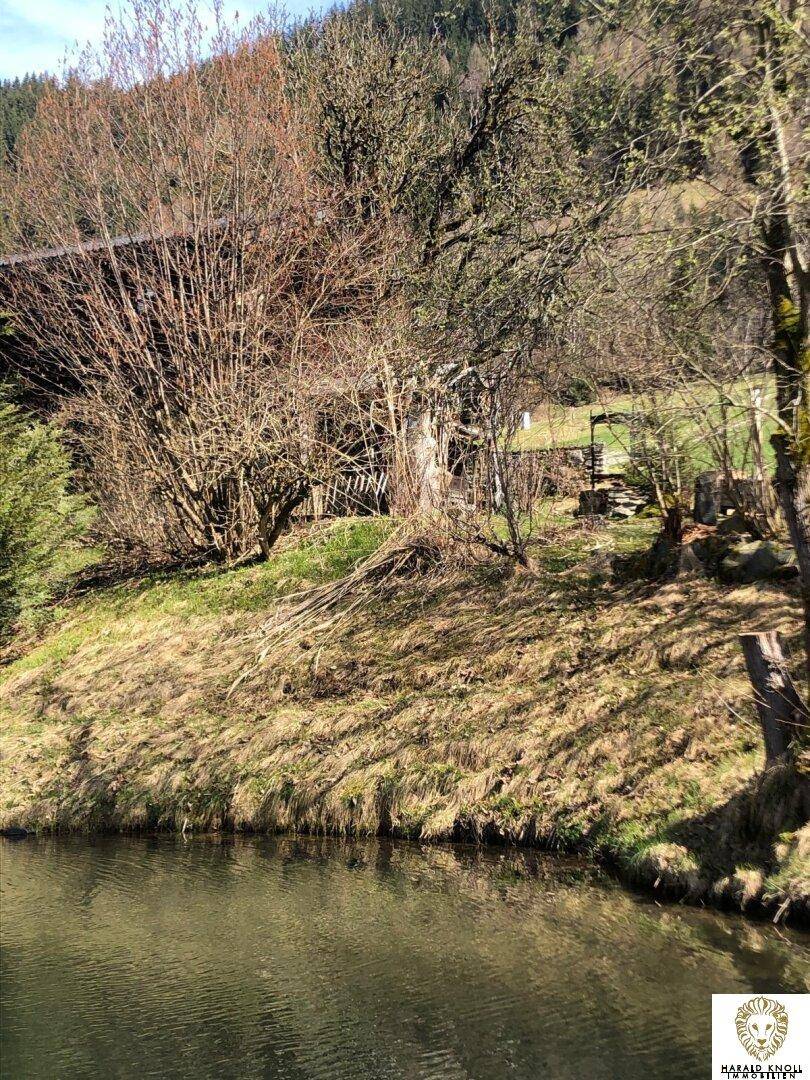 Ruhiger Teich oder Flusslauf am Rande des Grundstücks mit bewachsenen Ufern und Bäumen.