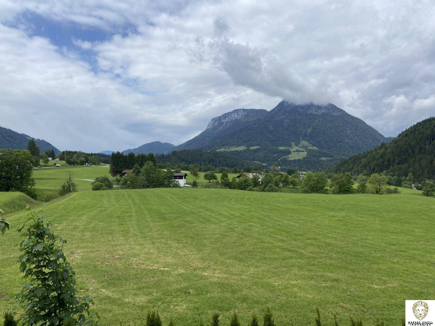 Weitläufige grüne Wiesen und bewaldete Berge unter bewölktem Himmel.