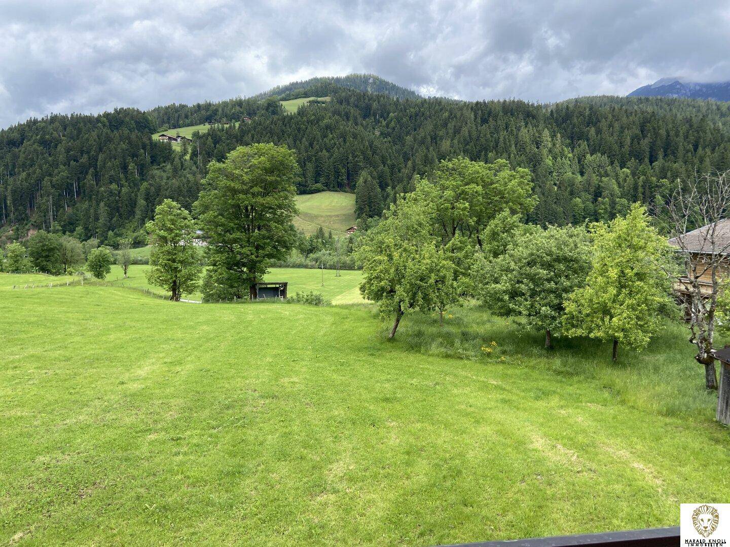 Malerische Landschaft mit grünen Wiesen und dicht bewaldeten Hügeln.