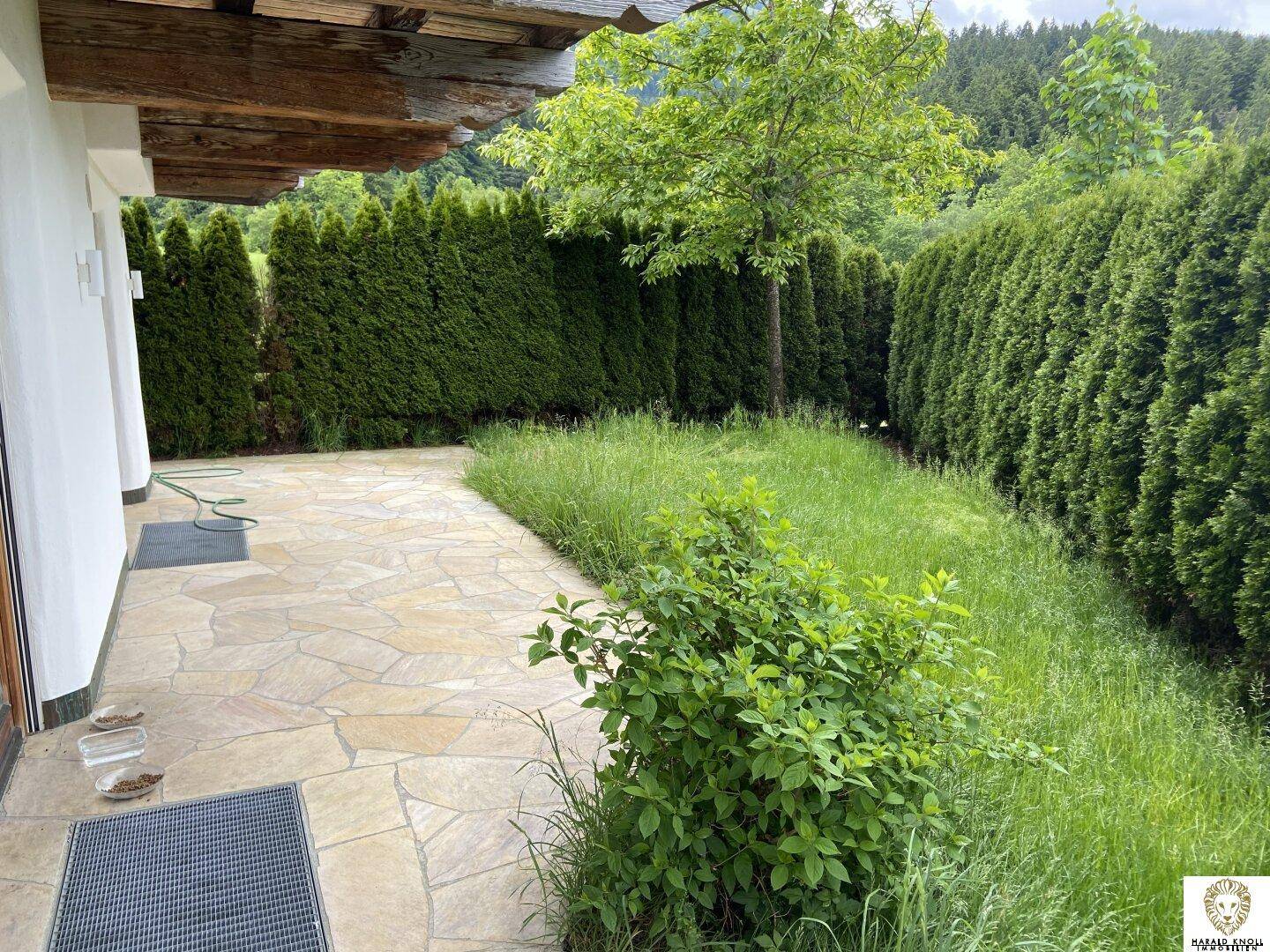 Gepflasterte Terrasse mit Natursteinplatten, umgeben von hohen Hecken und Rasenfläche.