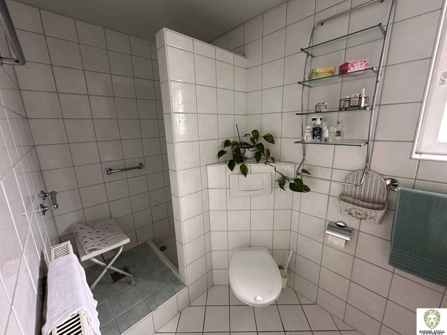 Funktionales Badezimmer mit weißen Fliesen, Dusche, WC und einem beheizten Handtuchhalter.