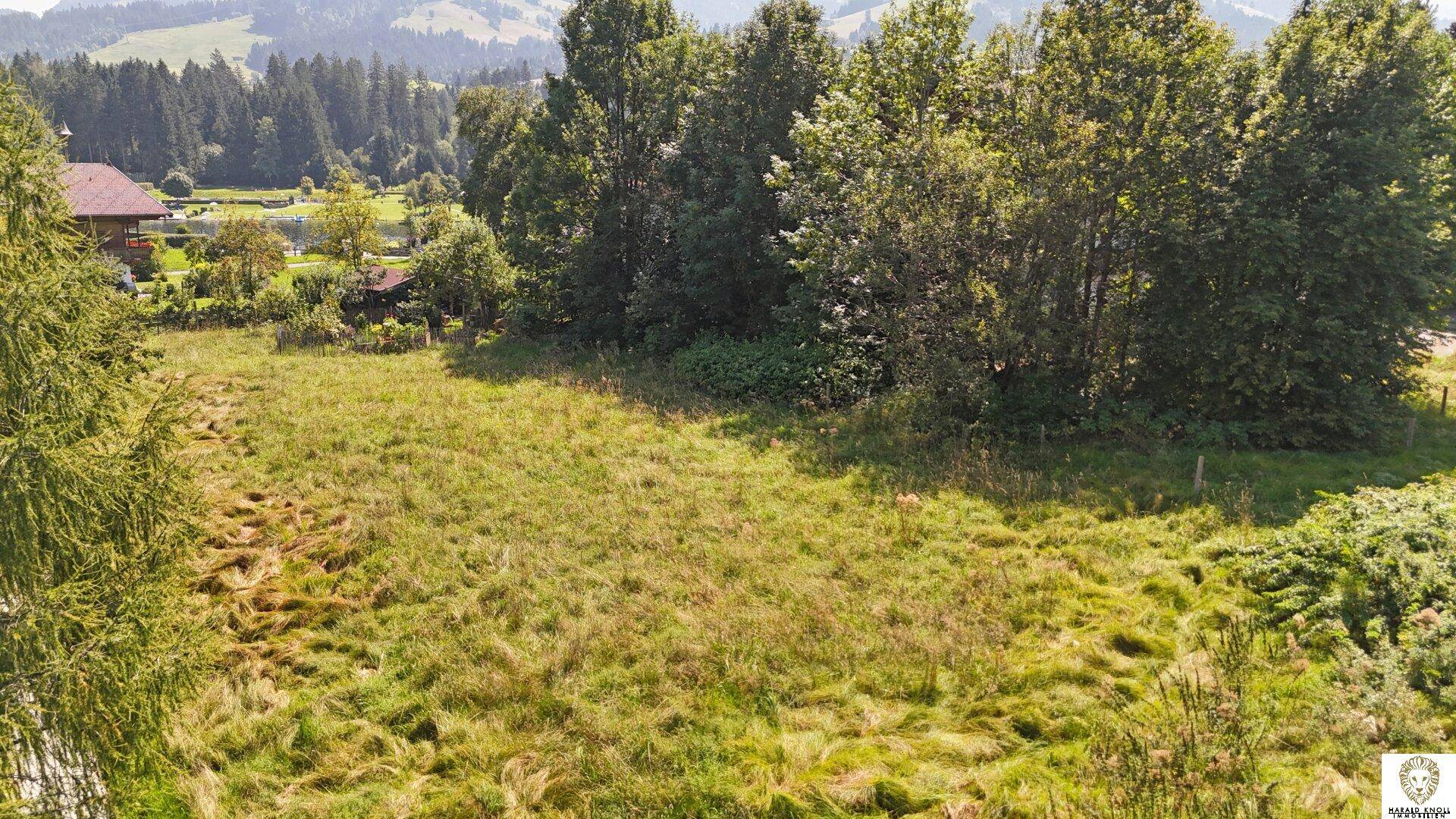 Panoramablick über ein weitläufiges, grünes Grundstück mit Bäumen und einer malerischen Hügellandschaft im Hintergrund.
