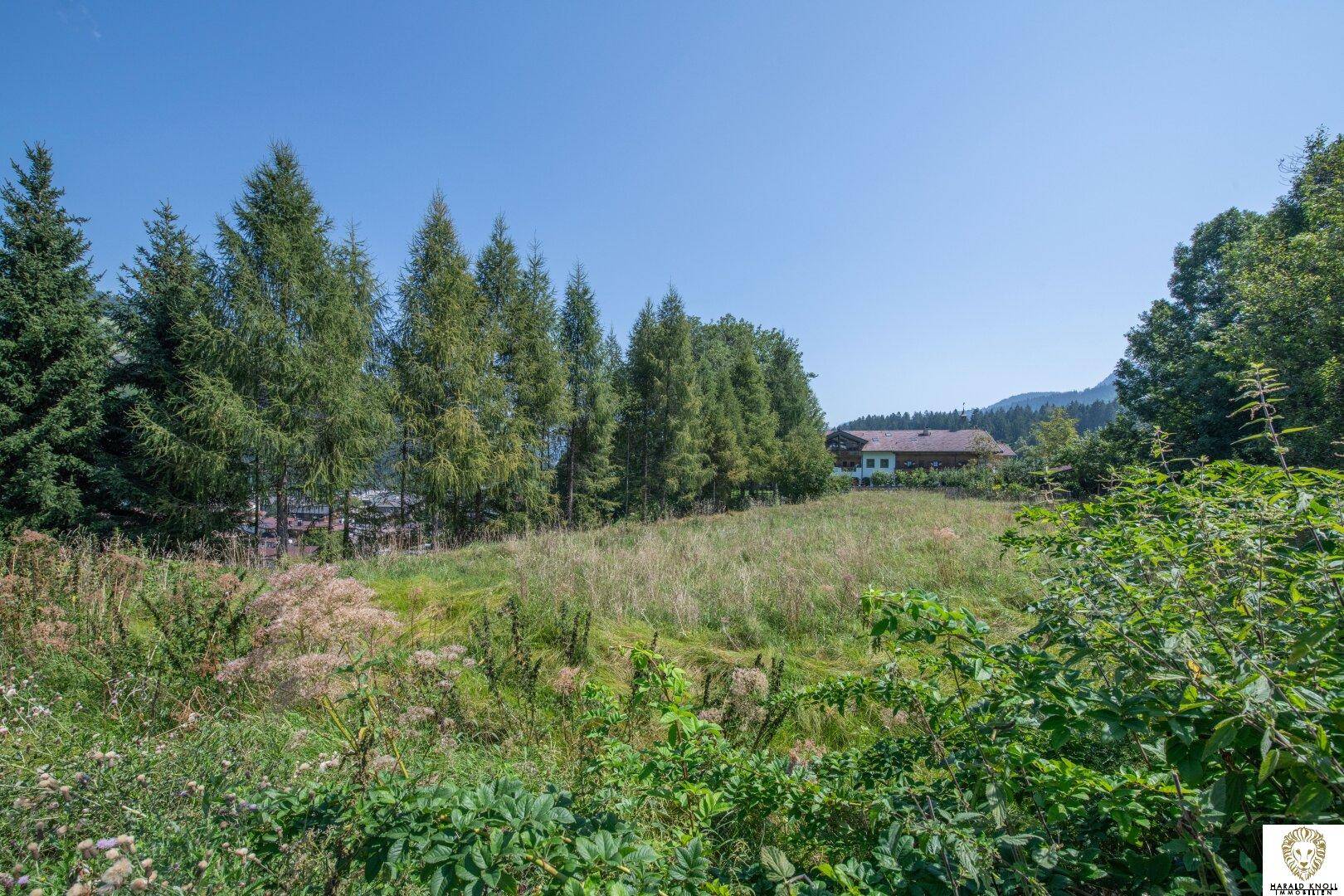 Großes, sonniges Grundstück mit Wiesen und Bäumen, im Hintergrund ein Haus und sanfte Hügel.
