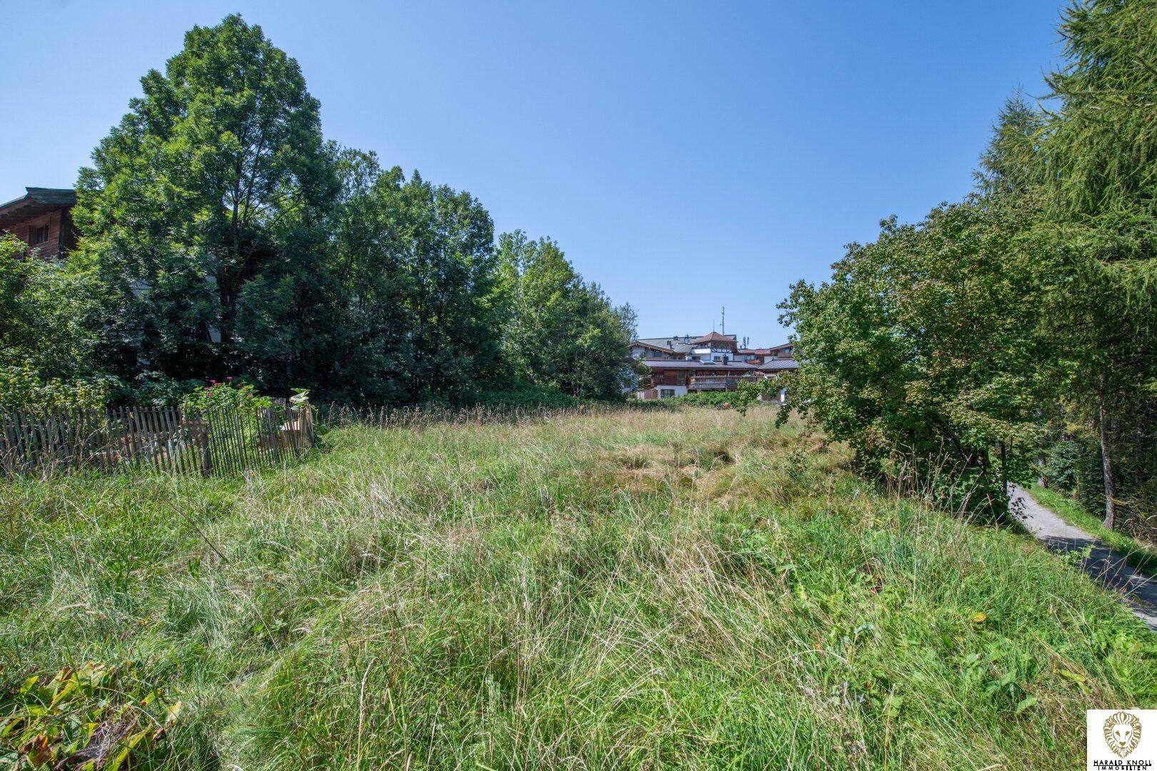 Weitläufiges, grünes Grundstück mit hohem Gras und Bäumen, im Hintergrund sind Gebäude erkennbar.