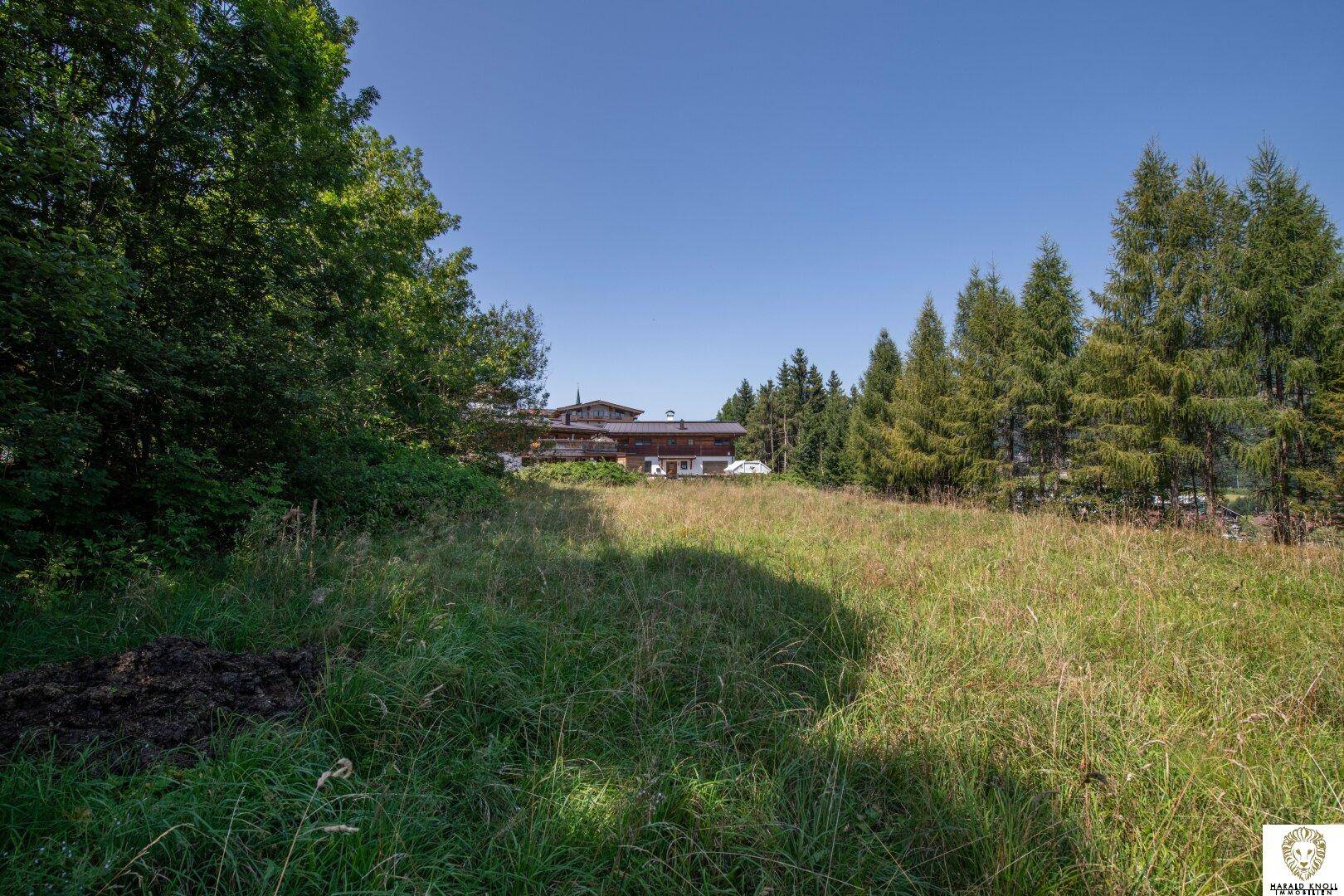 Weitläufiges Wiesengrundstück mit Bäumen und einem traditionellen Gebäude in der Ferne, unter blauem Himmel.