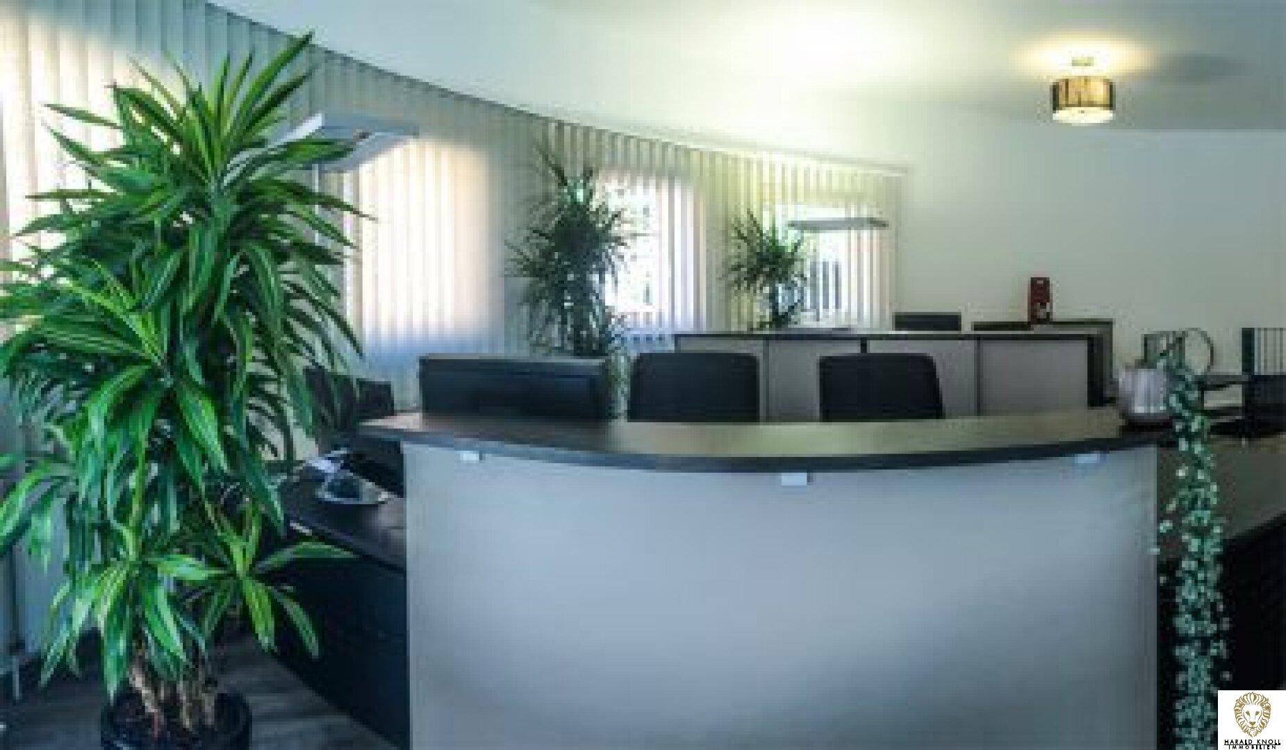 Detailansicht des Empfangstresens in einem modernen Büro, umgeben von großen Pflanzen und Fensterjalousien.