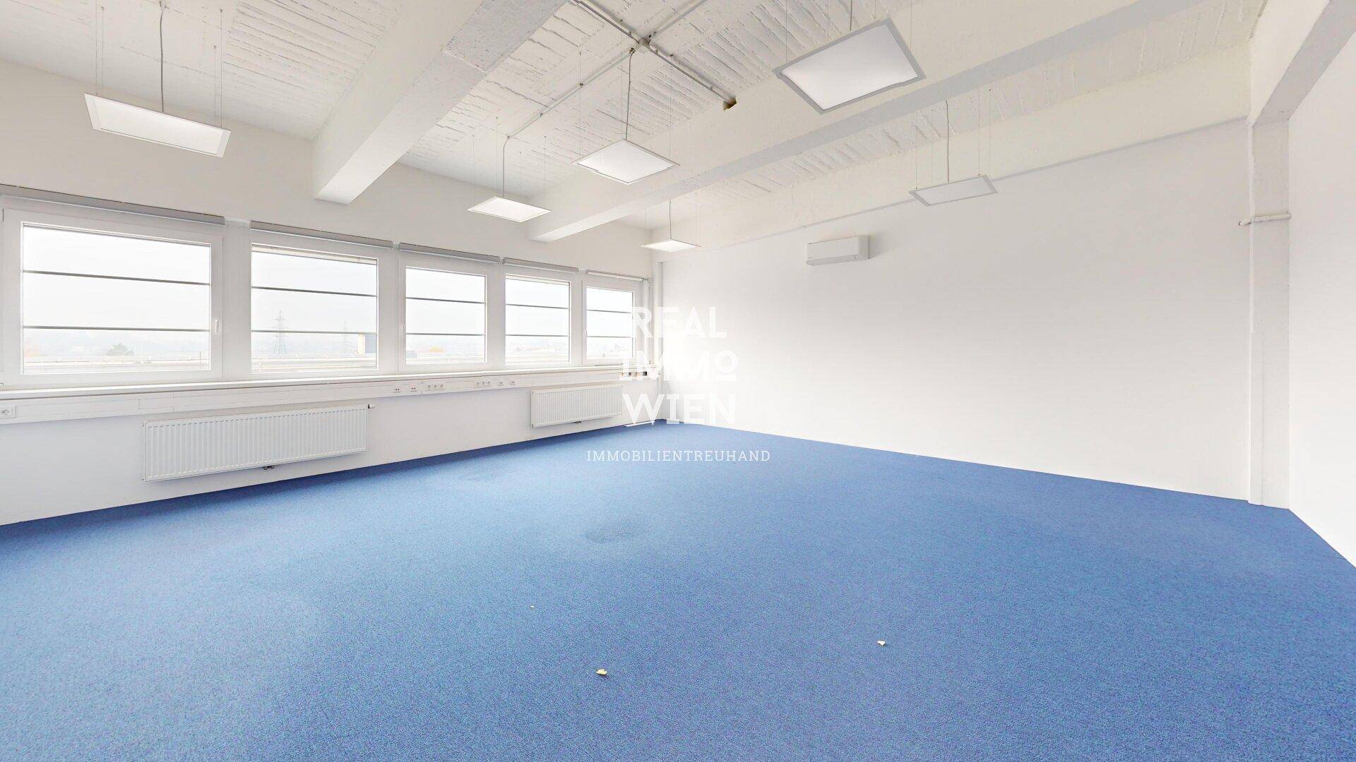 Geräumiger Büroraum mit blauer Teppichboden, großen Fenstern und moderner Deckenbeleuchtung, ideal für Arbeitsbereiche.