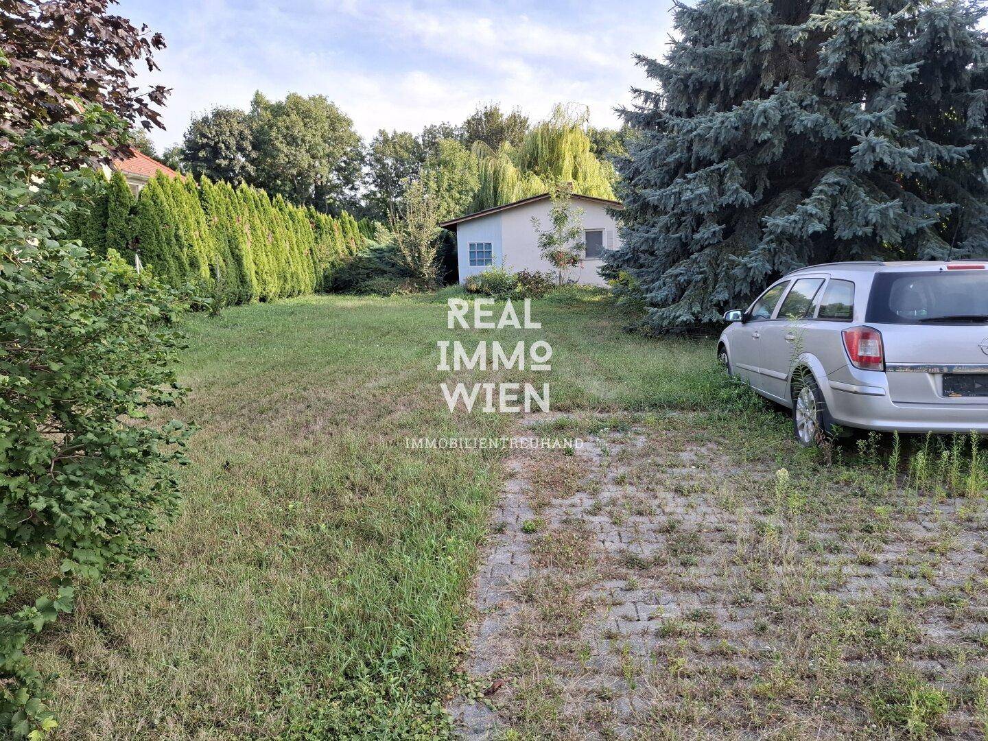 Ungepflegter Gartenbereich mit Rasen, Bäumen und einem Nebengebäude im Hintergrund.