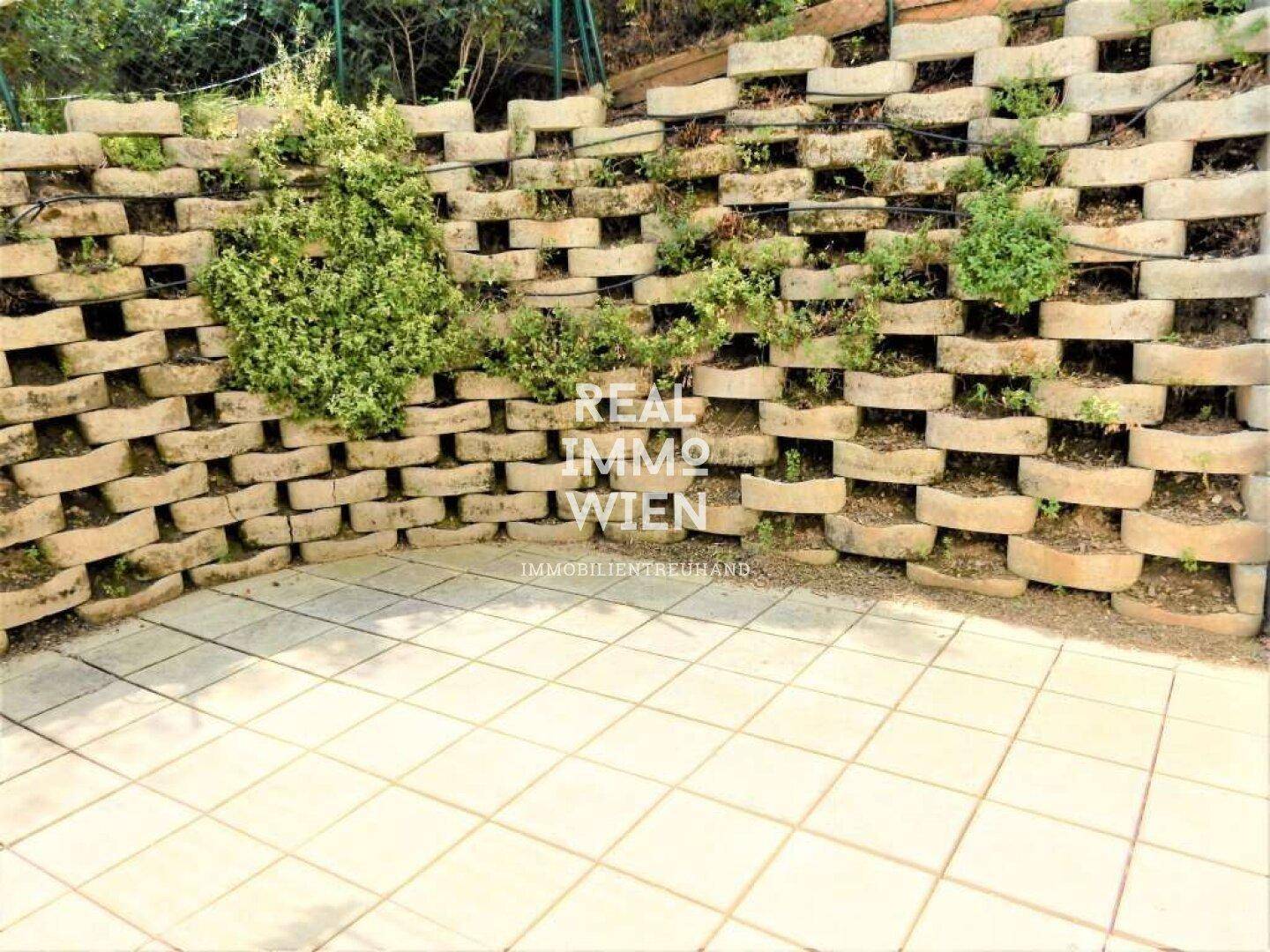 Gepflasterter Terrassenbereich mit einer begrünten Stützmauer und Pflanzen.