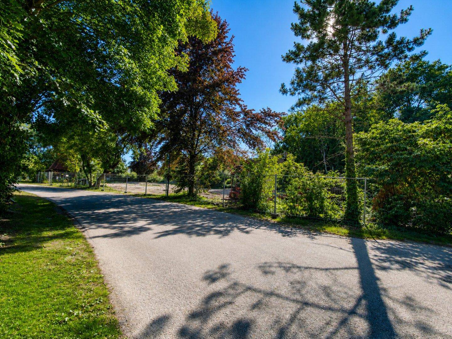 Zufahrtsstraße zu einem sonnigen Baugrundstück, umgeben von Bäumen und Grünflächen.