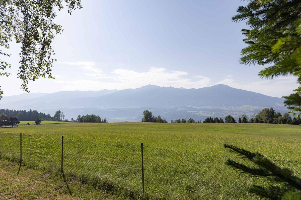 Weitläufige grüne Landschaft mit sanften Hügeln und majestätischem Bergpanorama im Hintergrund.