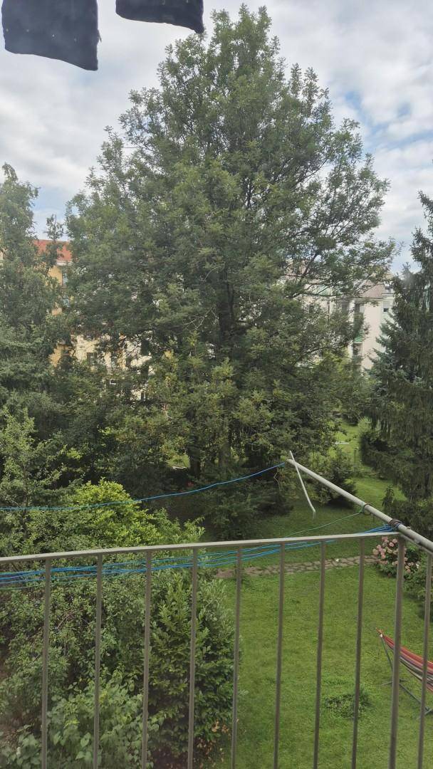 Balkon mit Metallgeländer und Blick auf einen grünen Innenhof mit Bäumen.