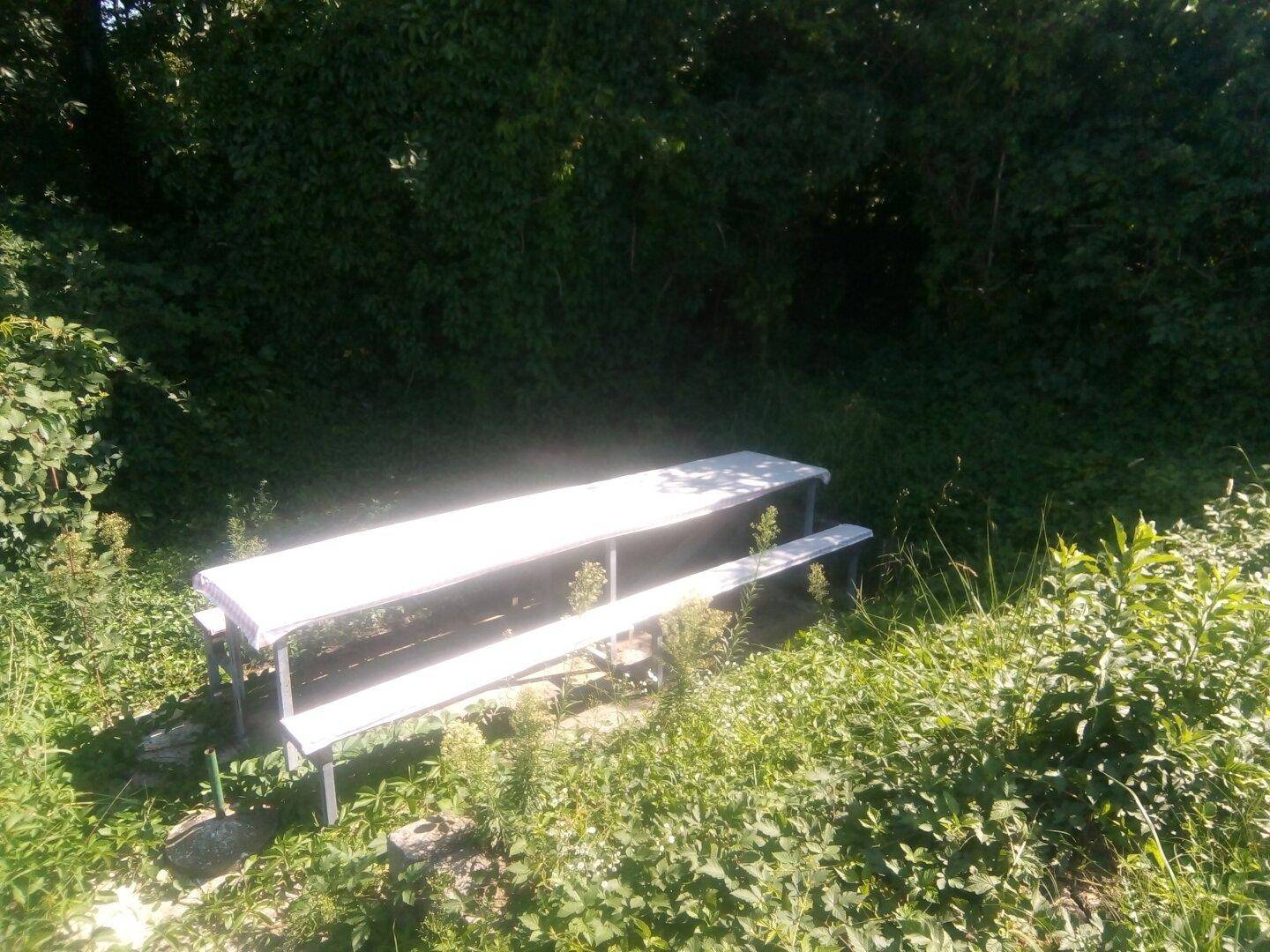 Einfacher Picknicktisch mit Bänken in einem grünen, sonnigen Gartenbereich.