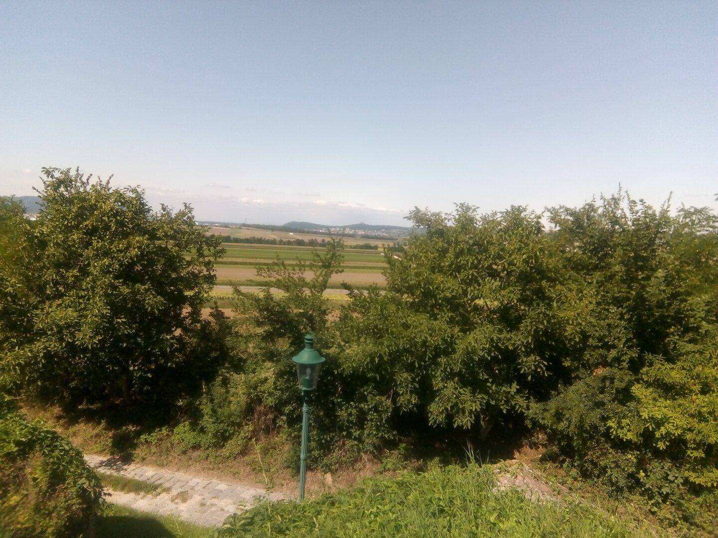 Weitläufiger Blick über Felder und Landschaft, umgeben von Bäumen und Sträuchern.