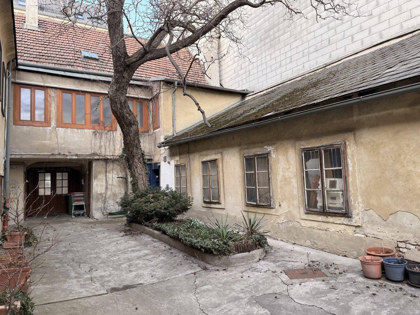 Detailansicht des Innenhofs mit dem zentralen Baum, Topfpflanzen und historischen Gebäudefassaden.