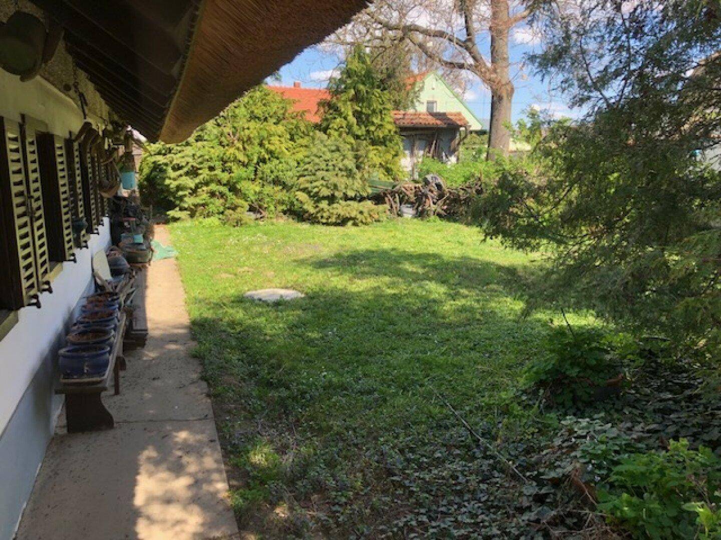Großer, gepflegter Rasenbereich im Garten neben dem Haus, umgeben von vielfältigen Bäumen und Sträuchern.