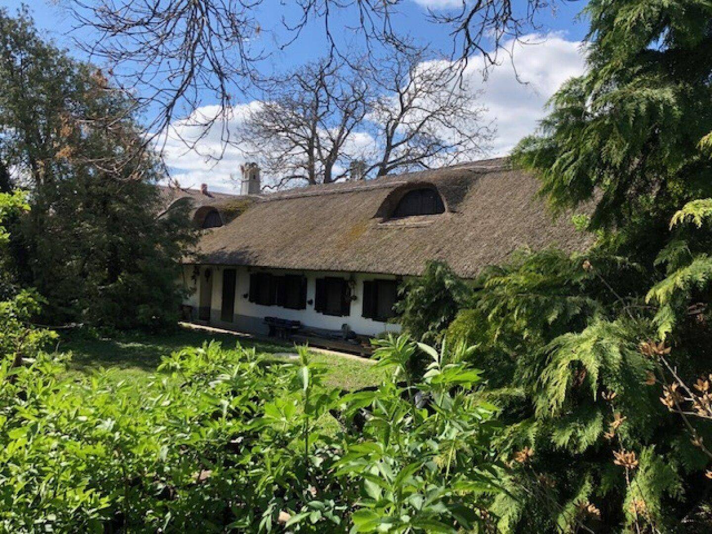 Panoramablick auf das Haus vom Garten aus, mit dem weitläufigen Reetdach und Gaubenfenstern, umgeben von üppigen Bäumen.
