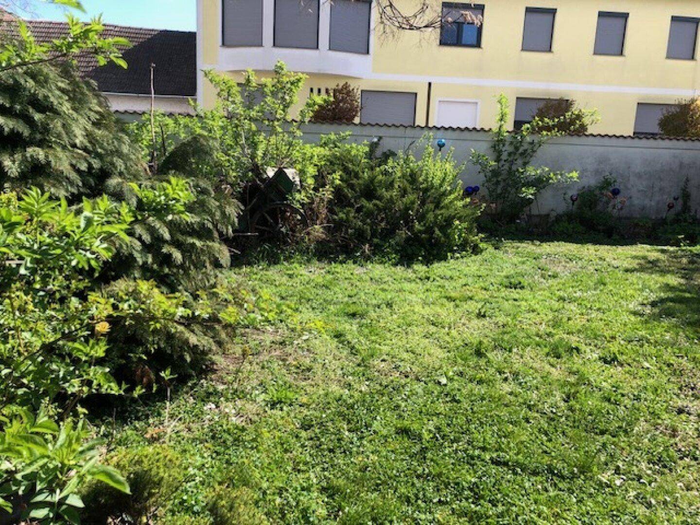 Große Rasenfläche im Garten mit einer Mauer und einem weiteren Gebäude im Hintergrund unter blauem Himmel.