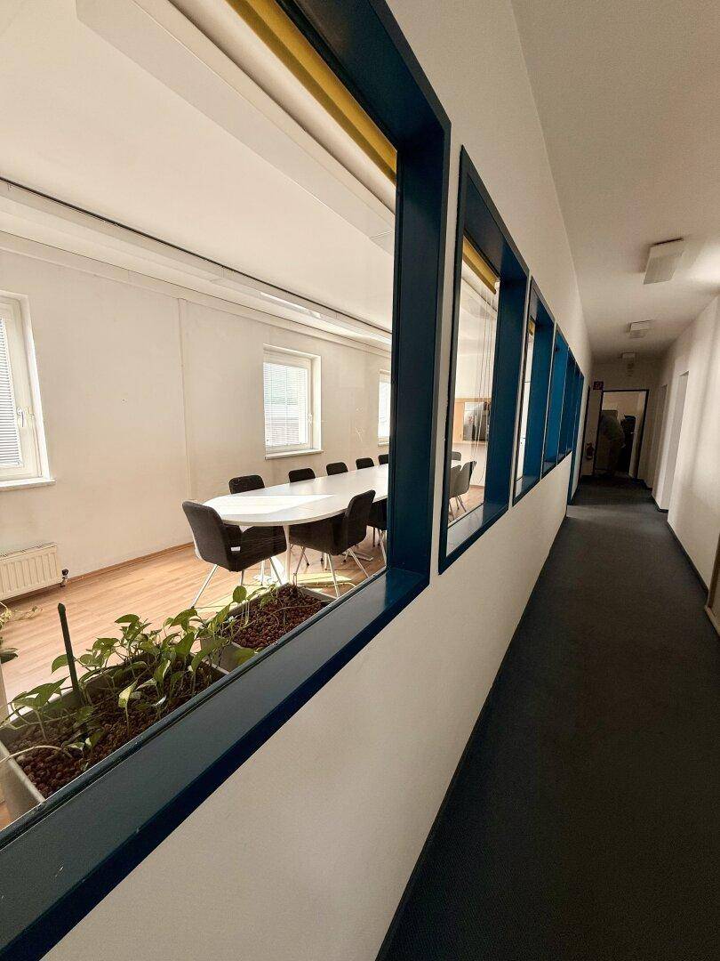 Flur mit dunklem Teppichboden und Blick durch die Fenster in einen Konferenzraum mit Pflanzen.