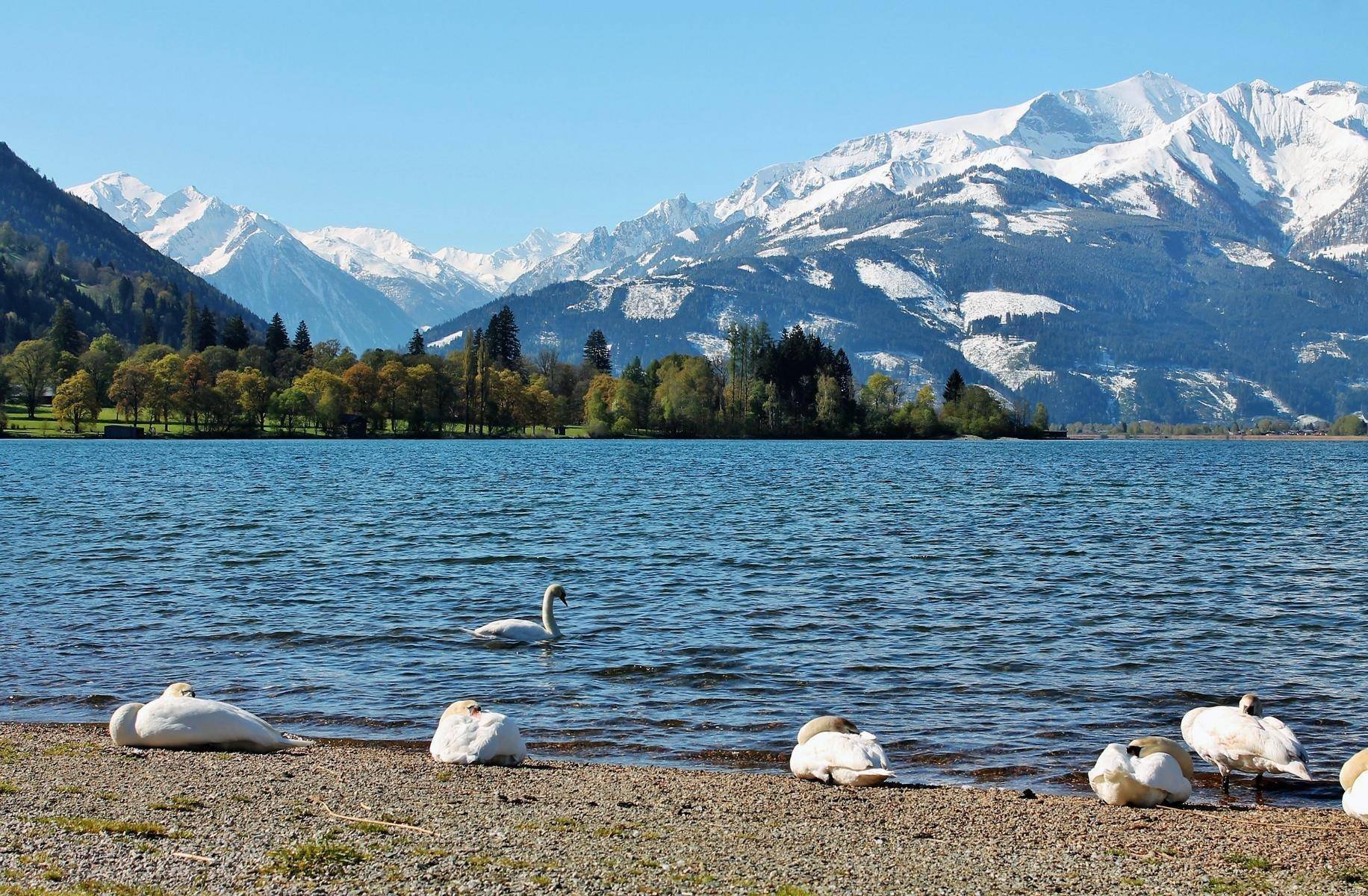 c- Zell am See-Kaprun Tourismus / Mairitsch