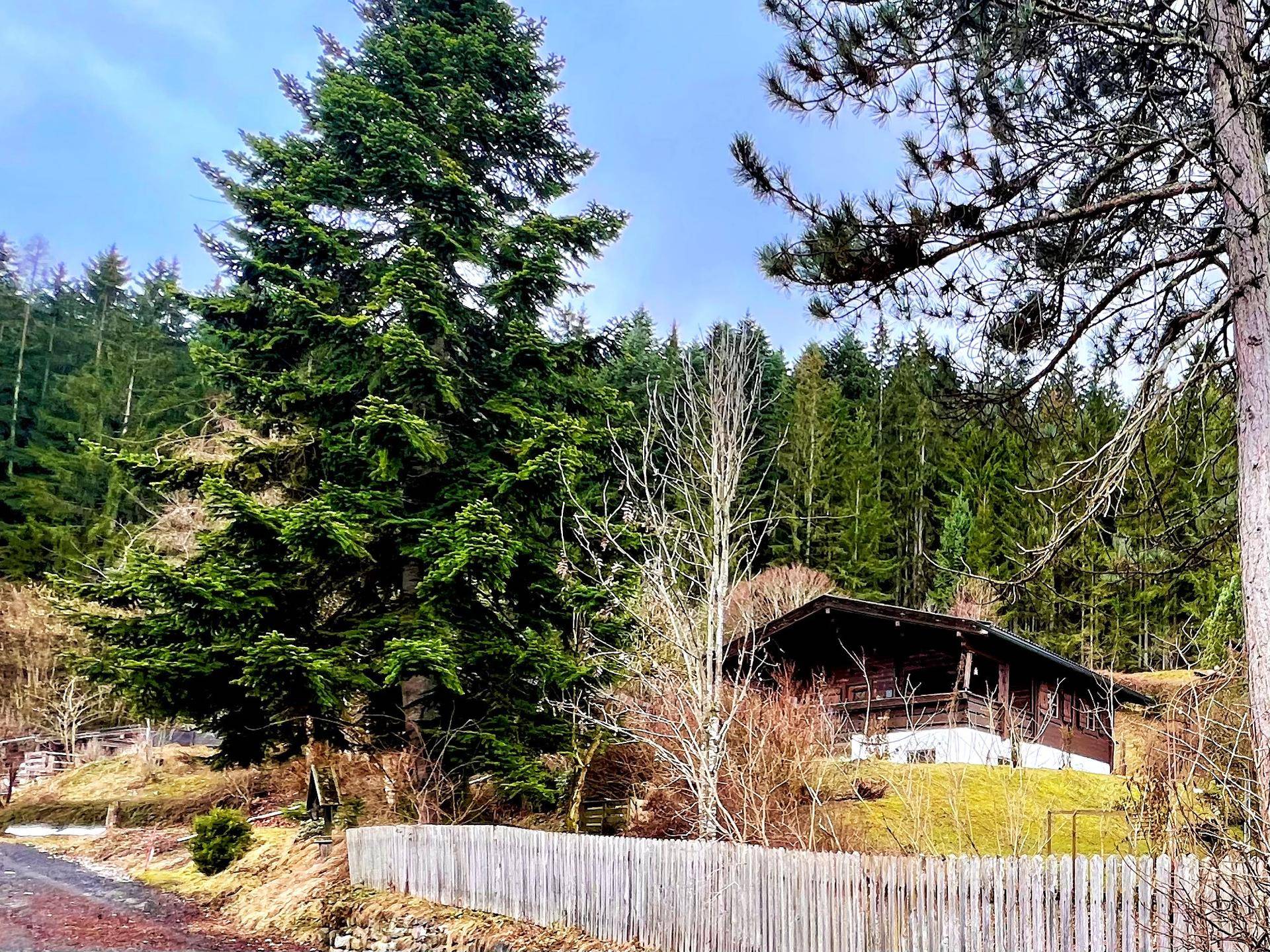 Rustikales Holzhaus umgeben von hohen Bäumen und einem Holzzaun in ländlicher Umgebung.