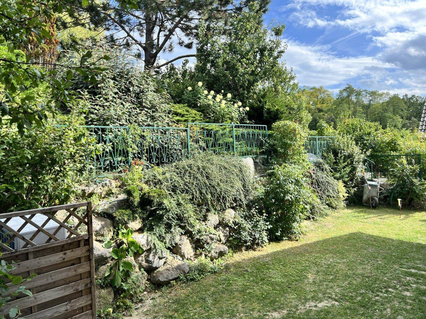 Gartenansicht mit einer grünen Rasenfläche, einer Steinmauer und vielfältiger Bepflanzung.