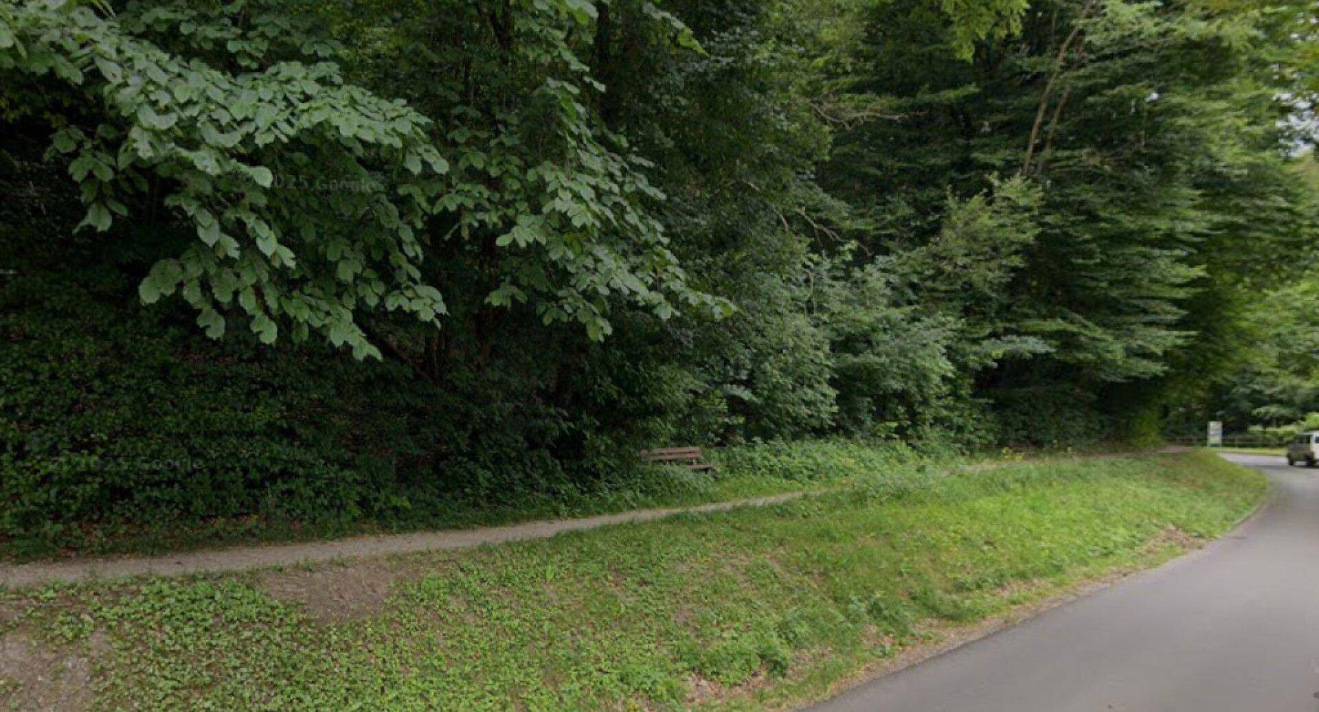 Ebener Baugrund mit Altbestand - in Purkersdorfer Waldrandlage (!) - Ansicht 2