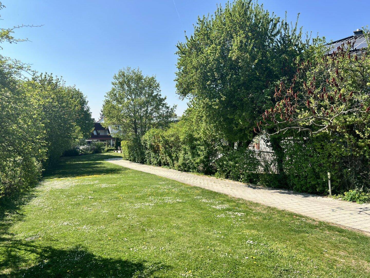Langer Gartenweg aus Pflastersteinen, umgeben von grünem Rasen und hohen Hecken.