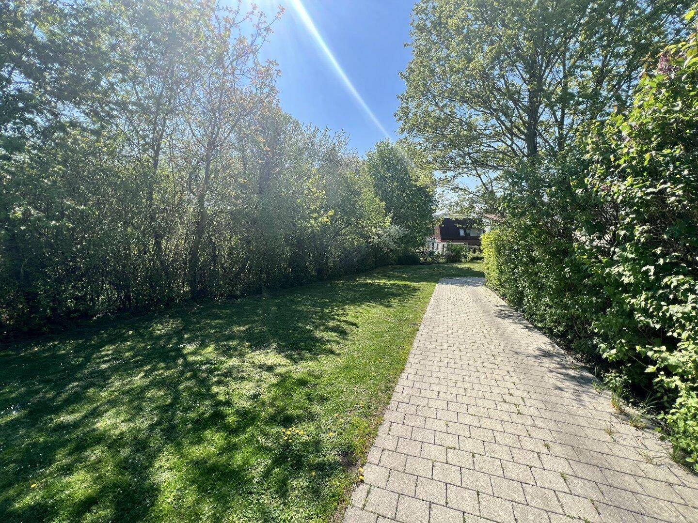 Gepflasterter Gartenweg führt durch den sonnigen Rasenbereich, umgeben von üppigem Grün.
