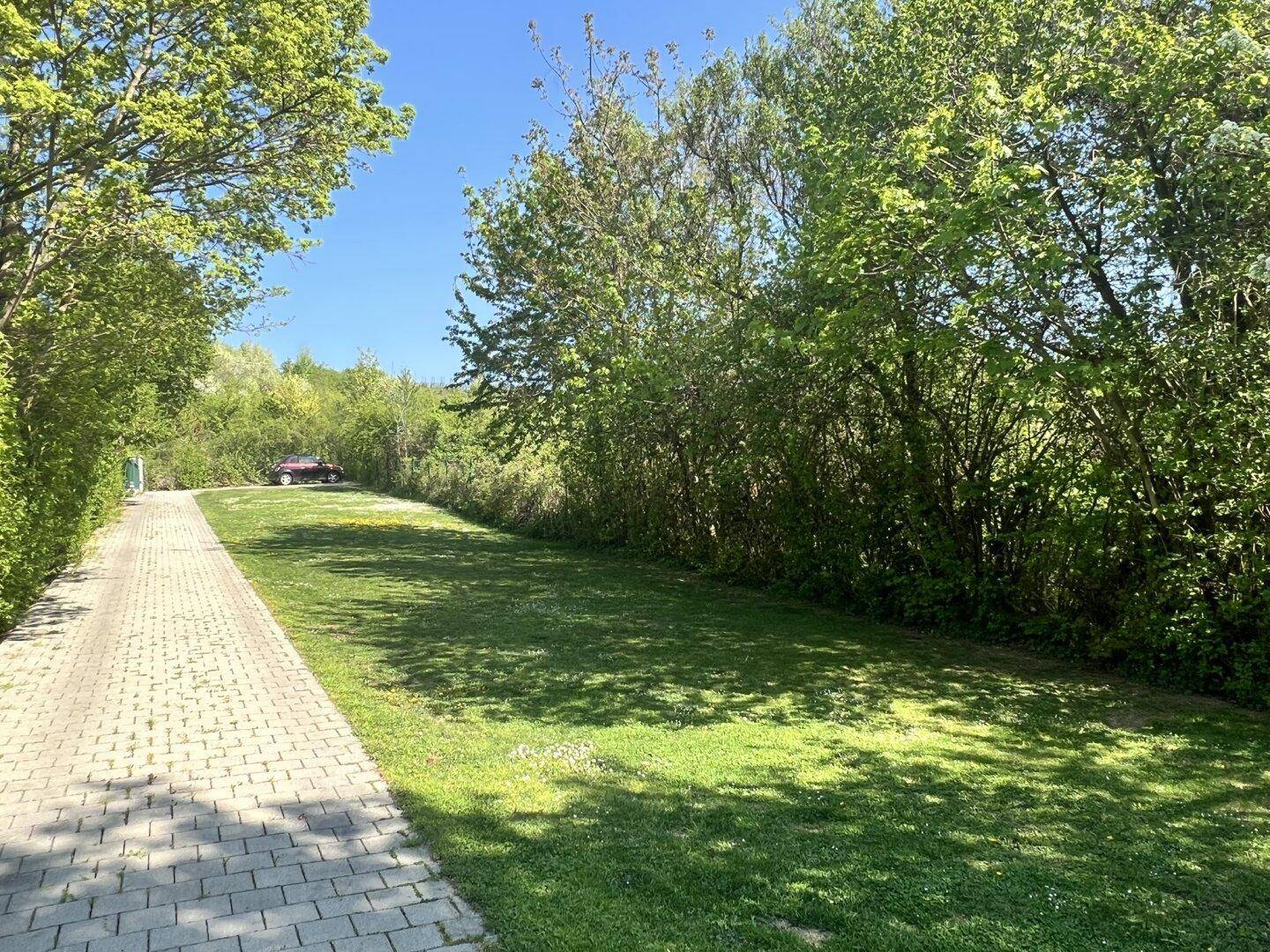 Langer, gepflasterter Weg durch den sonnigen Garten mit Rasenflächen und Bäumen.