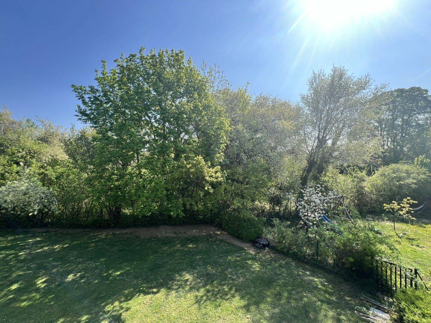 Panoramablick auf den weitläufigen Garten mit Rasenflächen und hohen Bäumen.