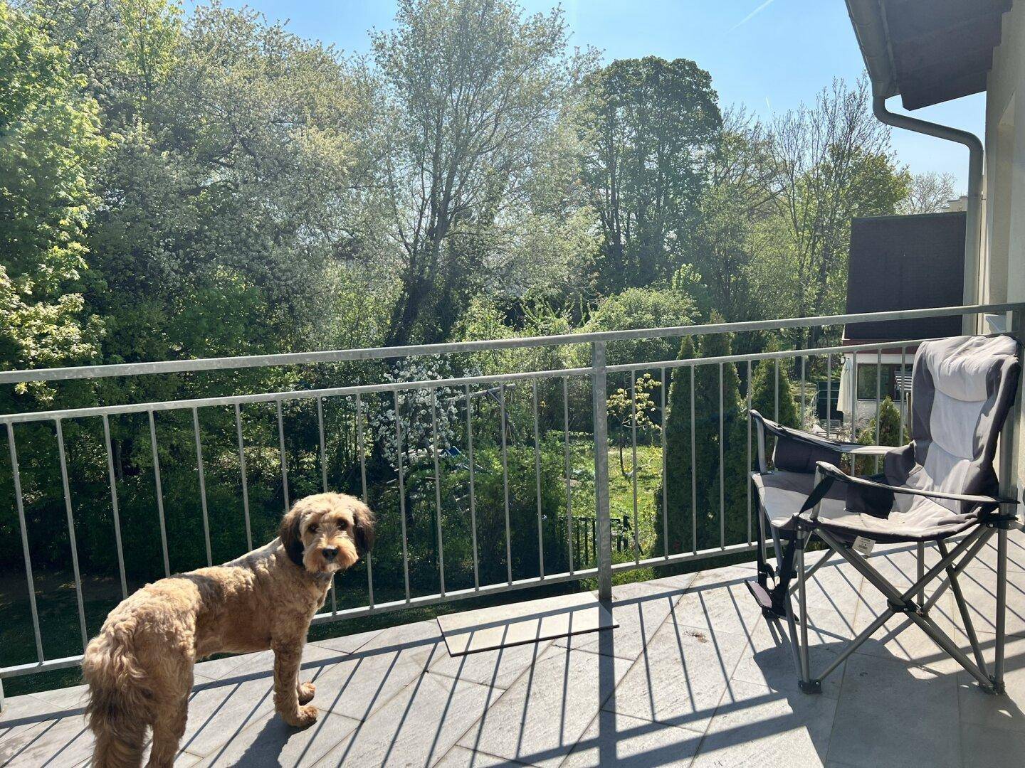 Sonniger Balkon mit Metallgeländer und Blick ins Grüne, ideal für Entspannung.