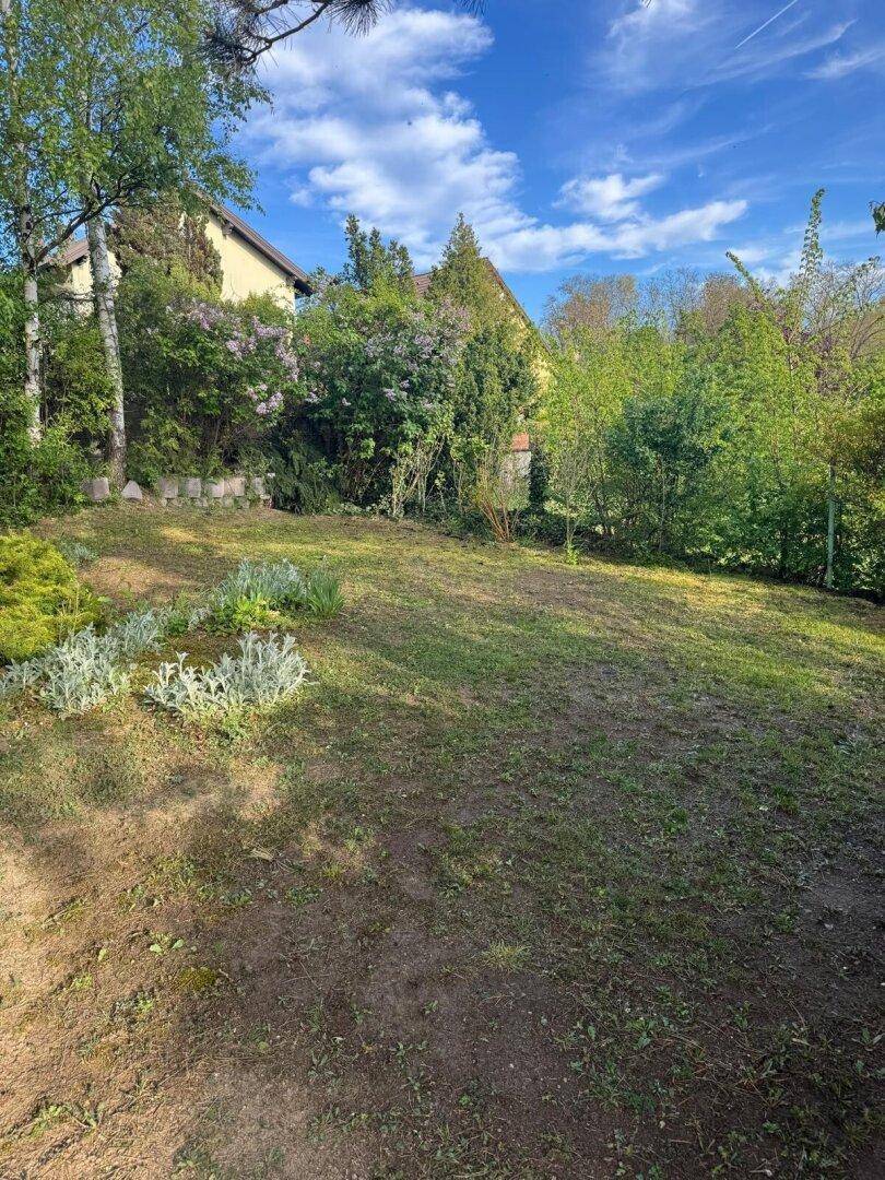 Weitläufige Rasenfläche in einem naturnahen Garten mit verschiedenen Bäumen und Sträuchern.
