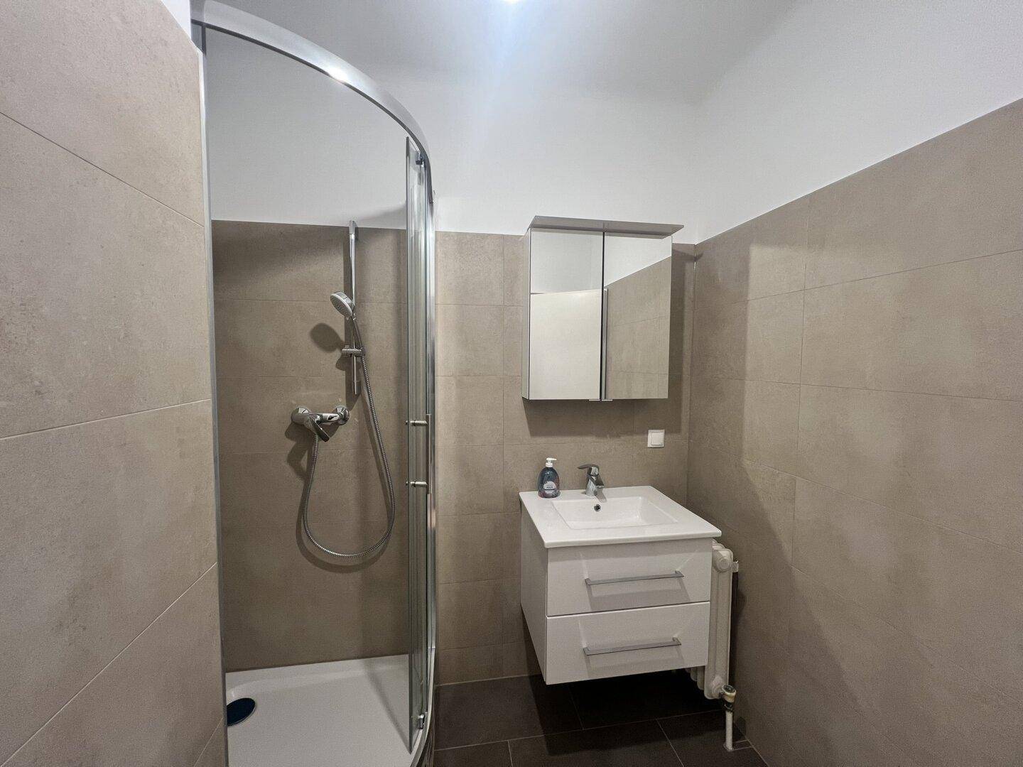 Modernes Badezimmer mit Eckdusche, Einzelwaschbecken und Spiegelschrank.