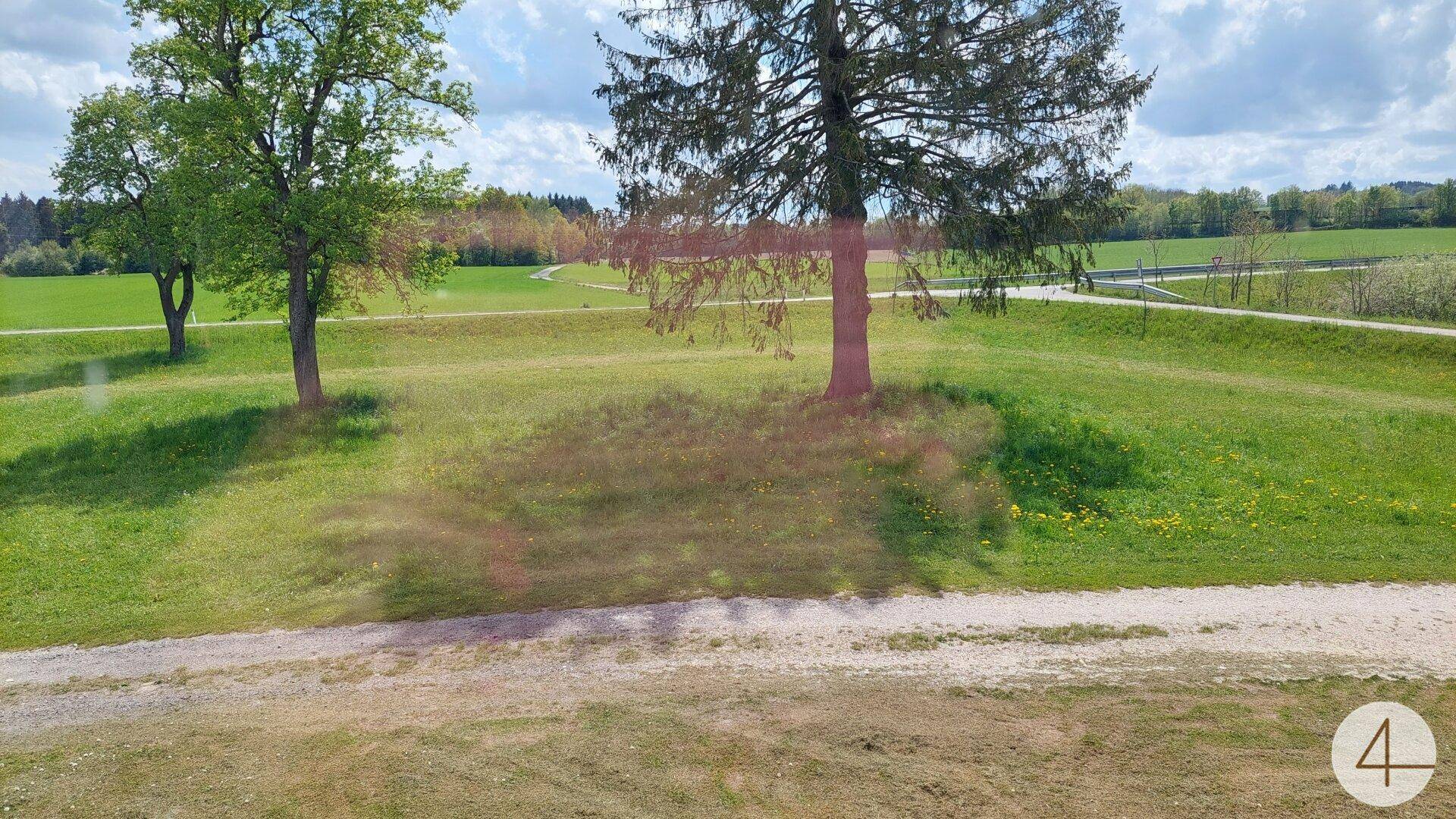Weitläufige grüne Landschaft mit Bäumen und einem Feldweg unter bewölktem Himmel.