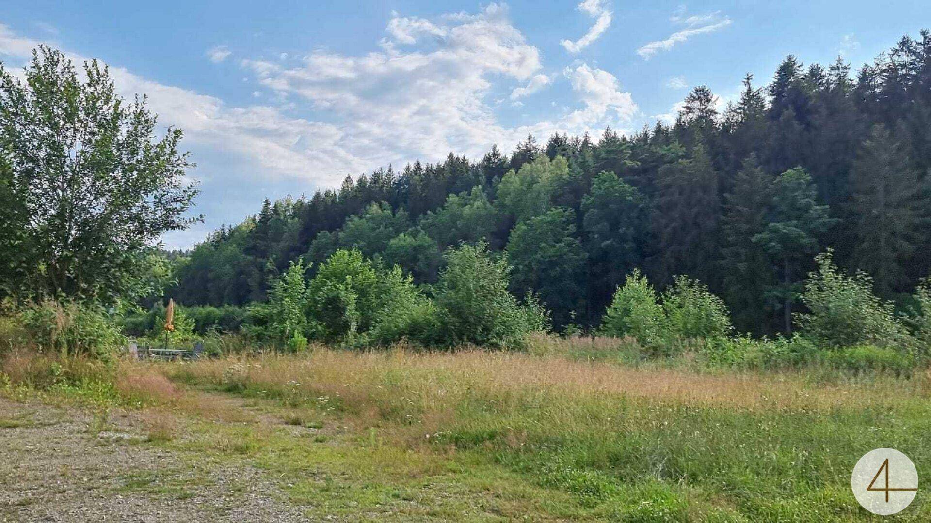 Weite Wiesenfläche mit hohem Gras und einem dichten Waldrand unter bewölktem Himmel.
