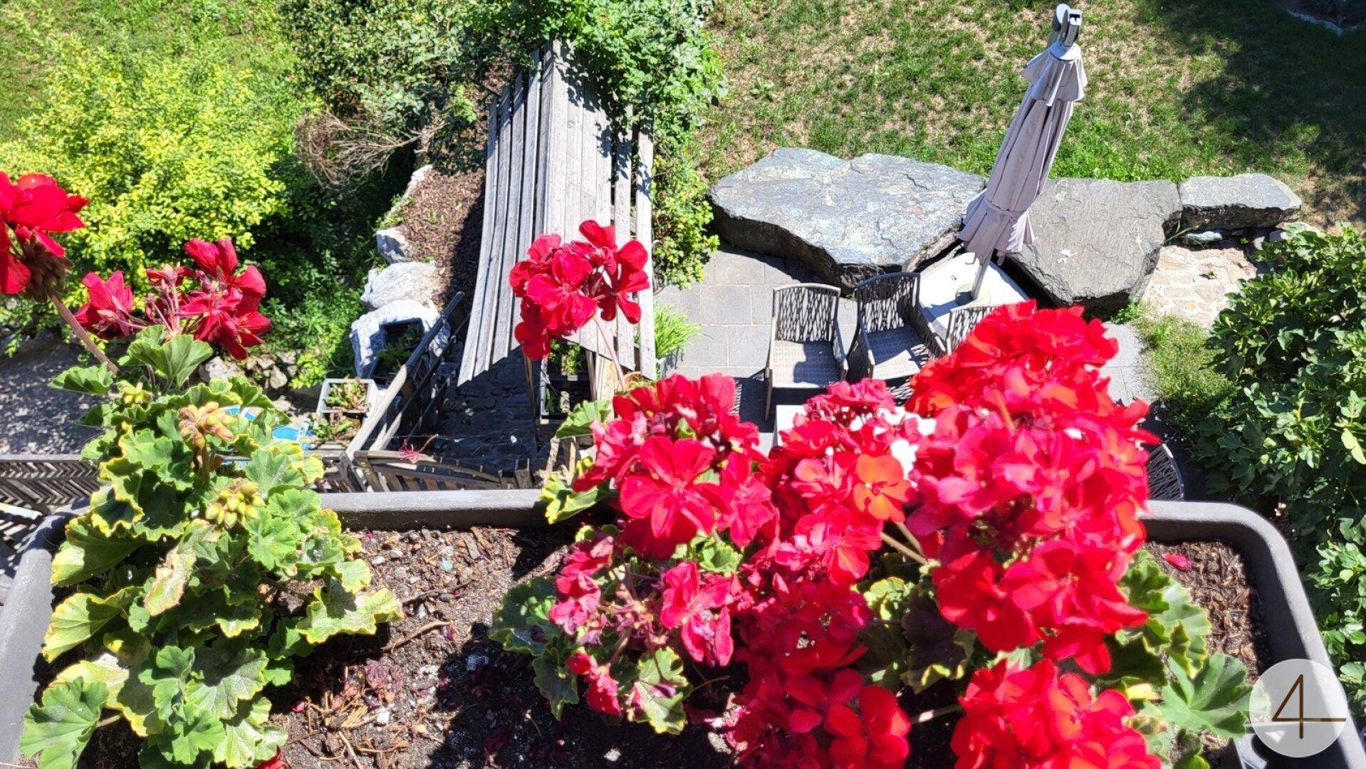 Sonniger Außenbereich mit Steinterrasse, Gartenmöbeln und üppiger Bepflanzung.