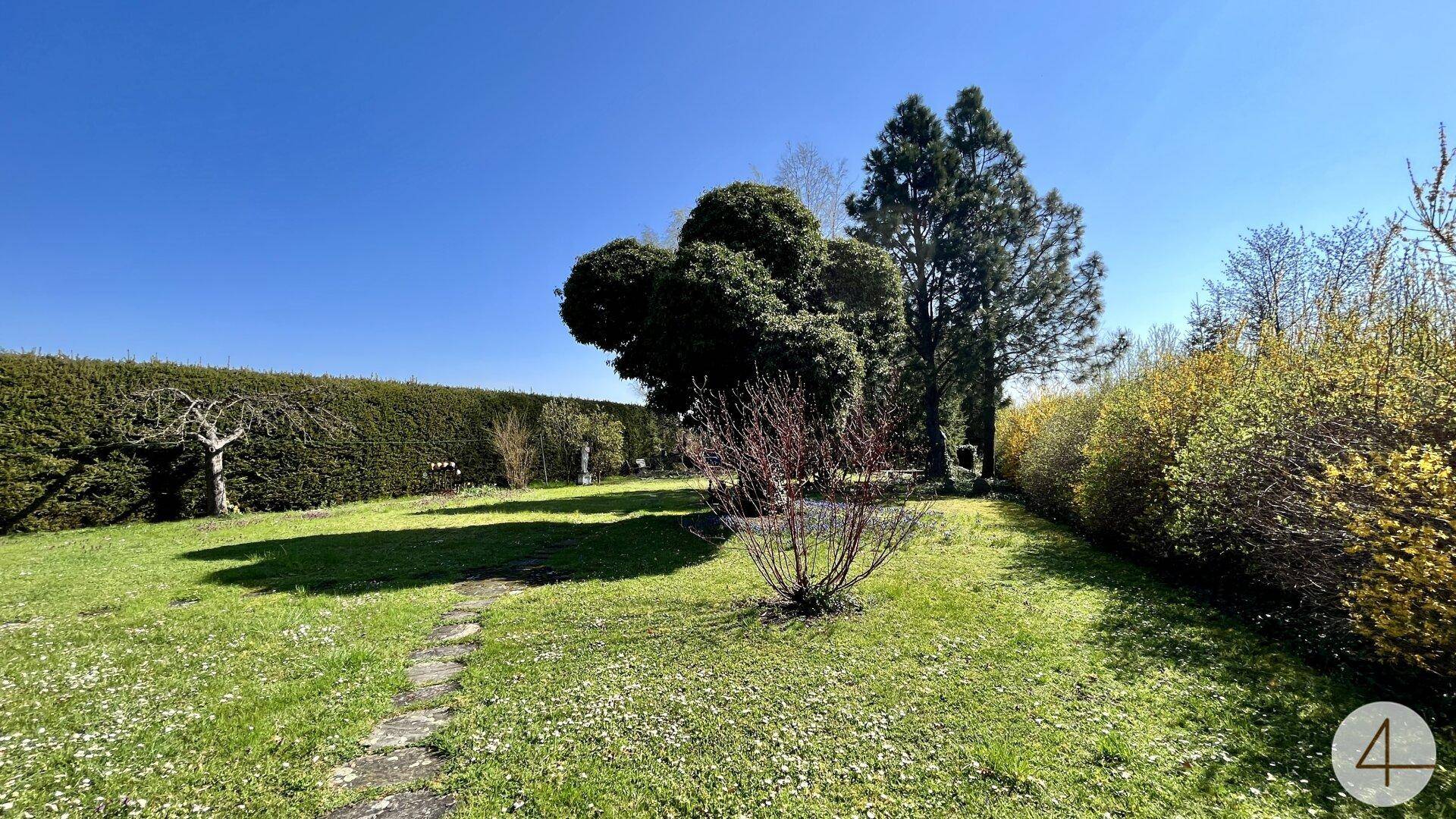 Großer, offener Gartenbereich mit weitläufigem Rasen, hohen Hecken und verschiedenen Bäumen.