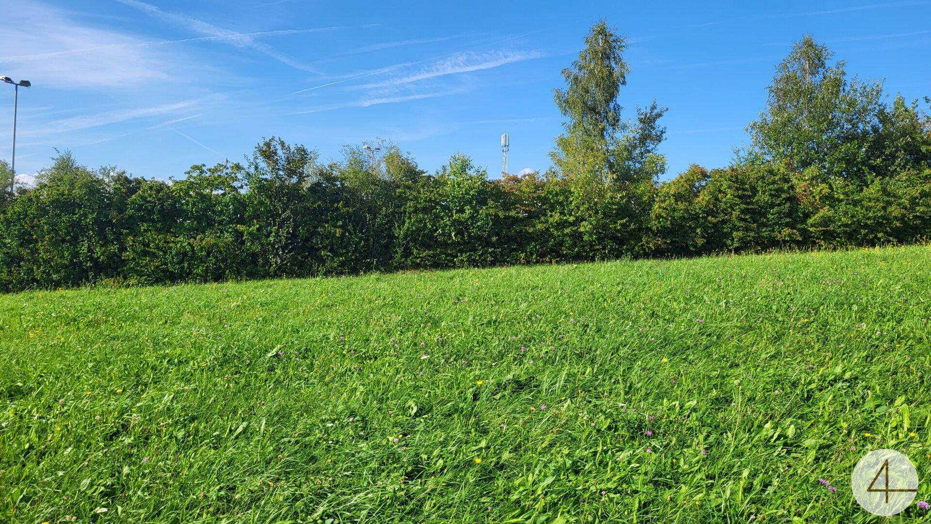 Bau dein Eigenheim am Lande - Ansicht 2