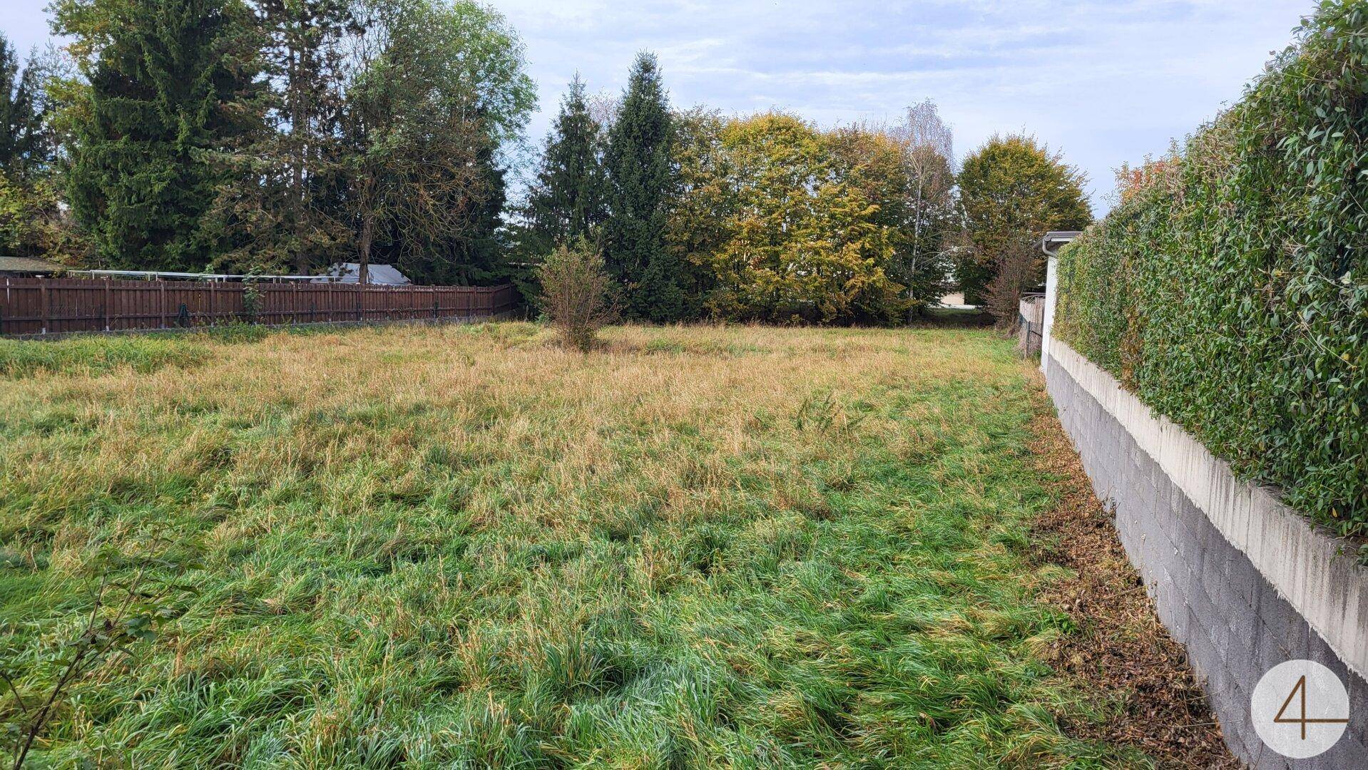 Weitläufige Grünfläche eines Grundstücks mit hoher Hecke und Mauer an der Seite.