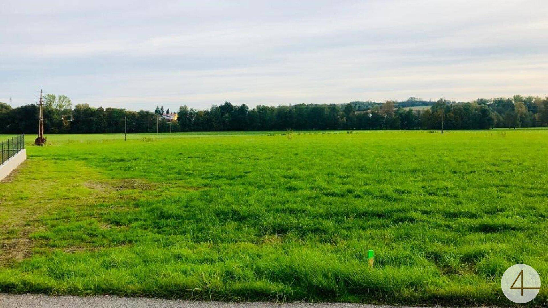 Weitläufiges grünes Feld mit Baumbestand im Hintergrund unter bewölktem Himmel, ideal für ländliche Bebauung.
