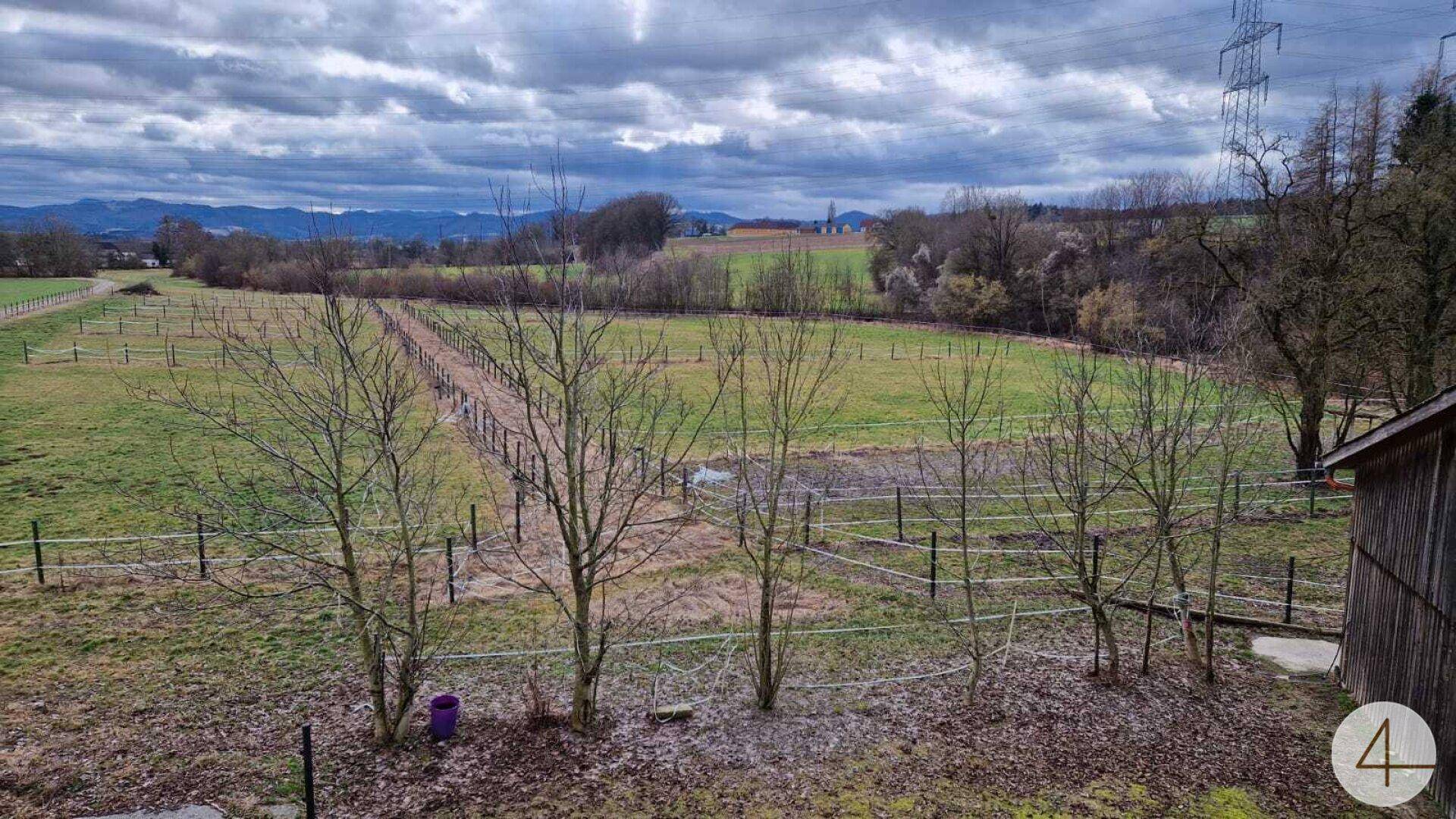 Weitläufige grüne Felder und Koppeln unter bewölktem Himmel mit Fernblick auf die Landschaft.