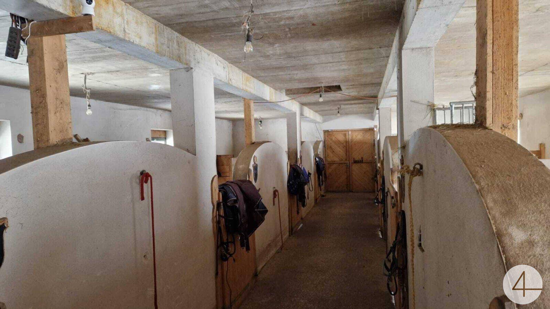 Innenansicht eines Pferdestalls mit mehreren Boxen, Sattelzeug und robusten Holzbalken.