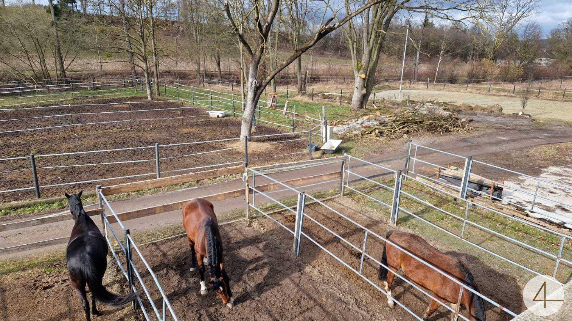 Weitläufige Pferdekoppeln mit drei Pferden und Blick auf die umliegende Naturlandschaft.